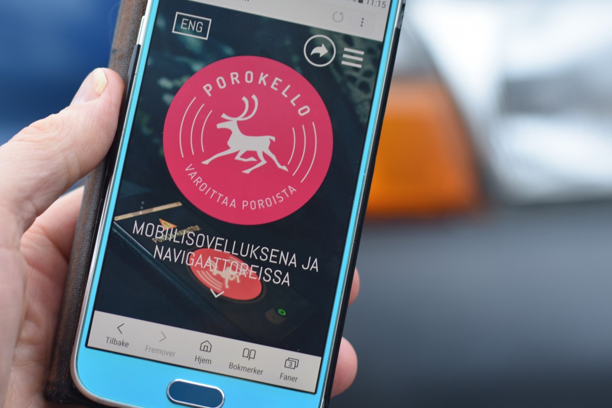 В Финляндии появилось приложение для отслеживания оленей на дорогах